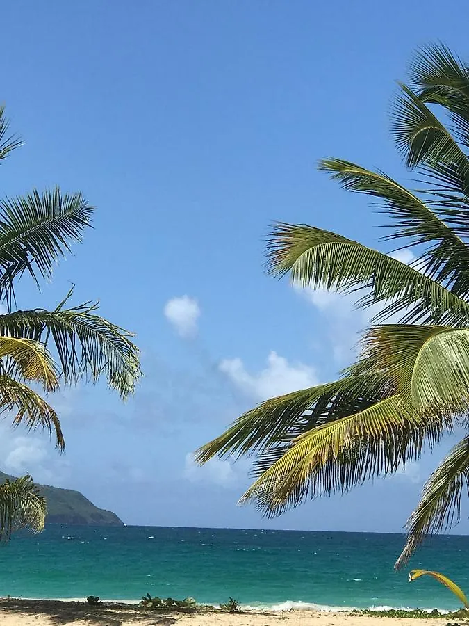 Vista Mare Spectacular Ocean View Top Floor 1-Bedroom Condo, Samana ドミニカ共和国