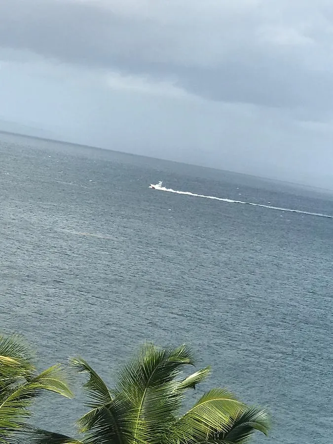 Vista Mare Spectacular Ocean View Top Floor 1-Bedroom Condo, Samana アパートホテル