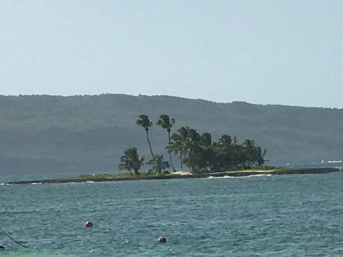 Vista Mare Spectacular Ocean View Top Floor 1-Bedroom Condo, Samana Aparthotel